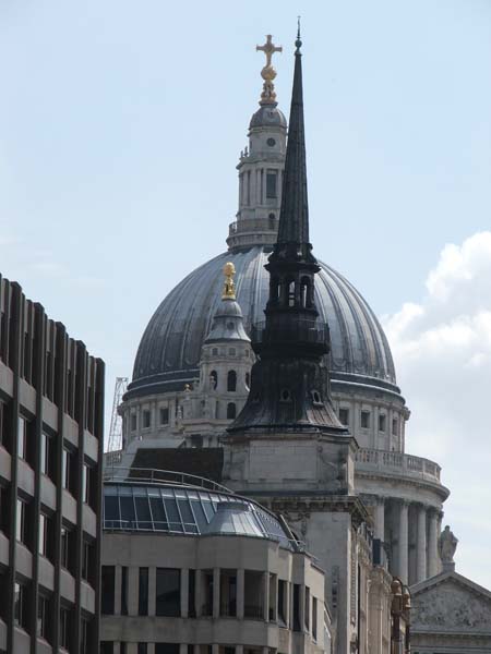 Matt's Walk 028