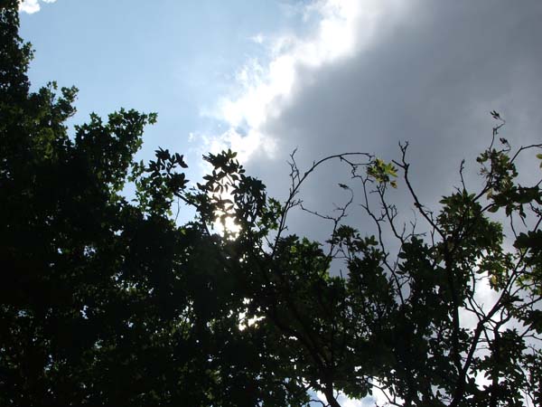 Matt's Walk 042