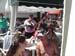 OntheMove28