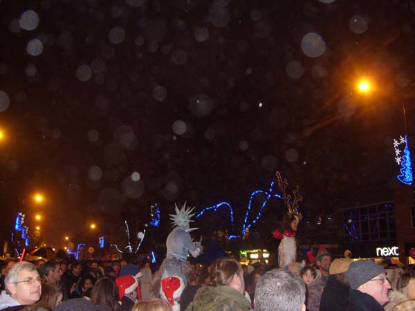 SDC10351